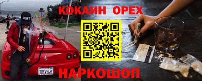 бошки Кингисепп