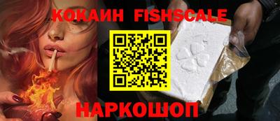 бошки Кингисепп