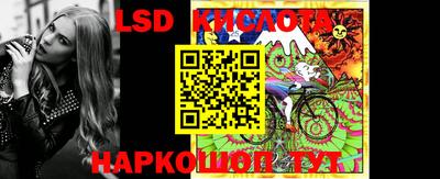 бошки Кингисепп