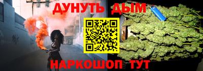 бошки Кингисепп
