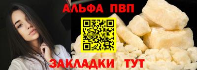 бошки Кингисепп