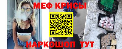 бошки Кингисепп