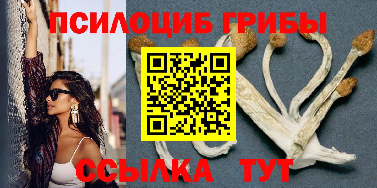 Псилоцибиновые грибы ЛСД Кировск