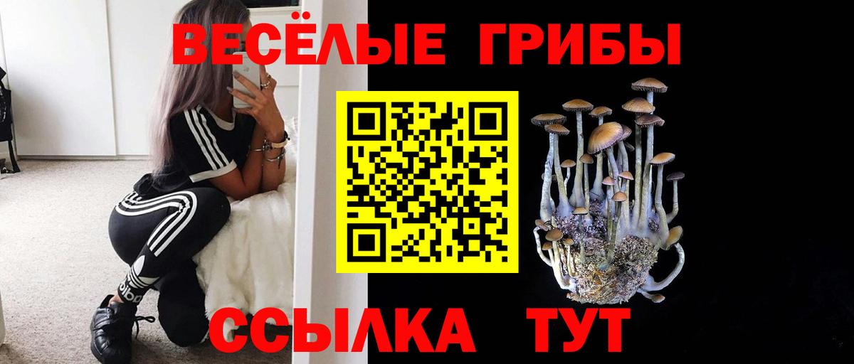 Кировск  Псилоцибиновые грибы ЛСД  Псилоцибиновые грибы Magic Shrooms  Вход с VPN 